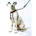 Training Halter H298333