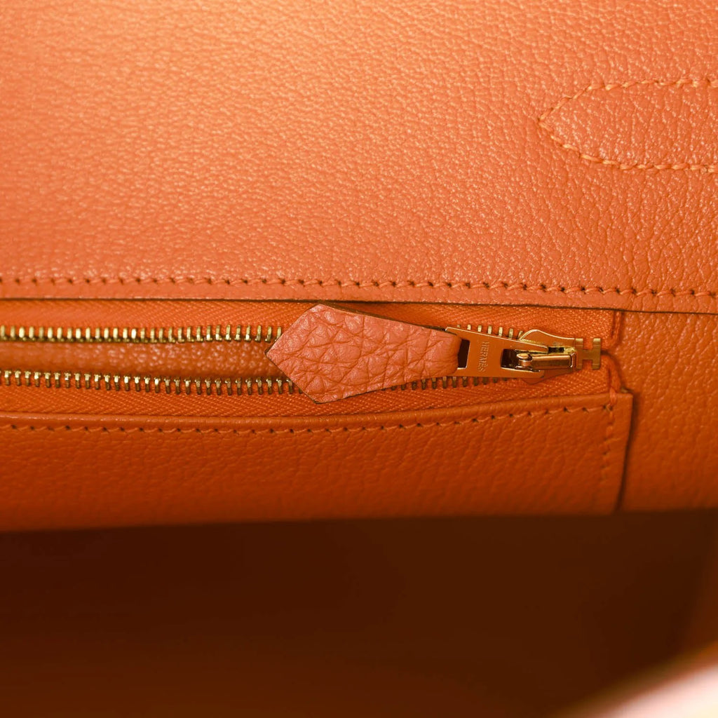 Orange Togo Leather Handbag V757
