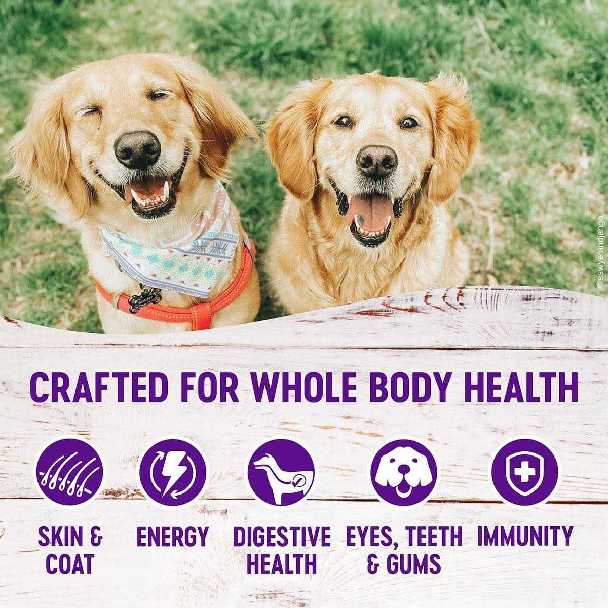 Lamb & Barley Dry Dog Food V129