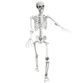 5.4Ft Posable Life Size Human Skeleton with Movable Joints U288951
