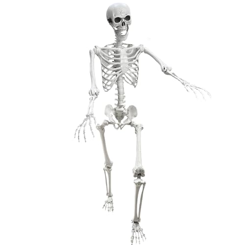 5.4Ft Posable Life Size Human Skeleton with Movable Joints U288951
