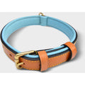 Leather Padded Dog Collar B498473