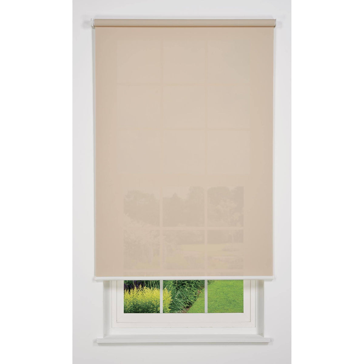Sand 63 W x 66 H Cordless Roller Shade C2501