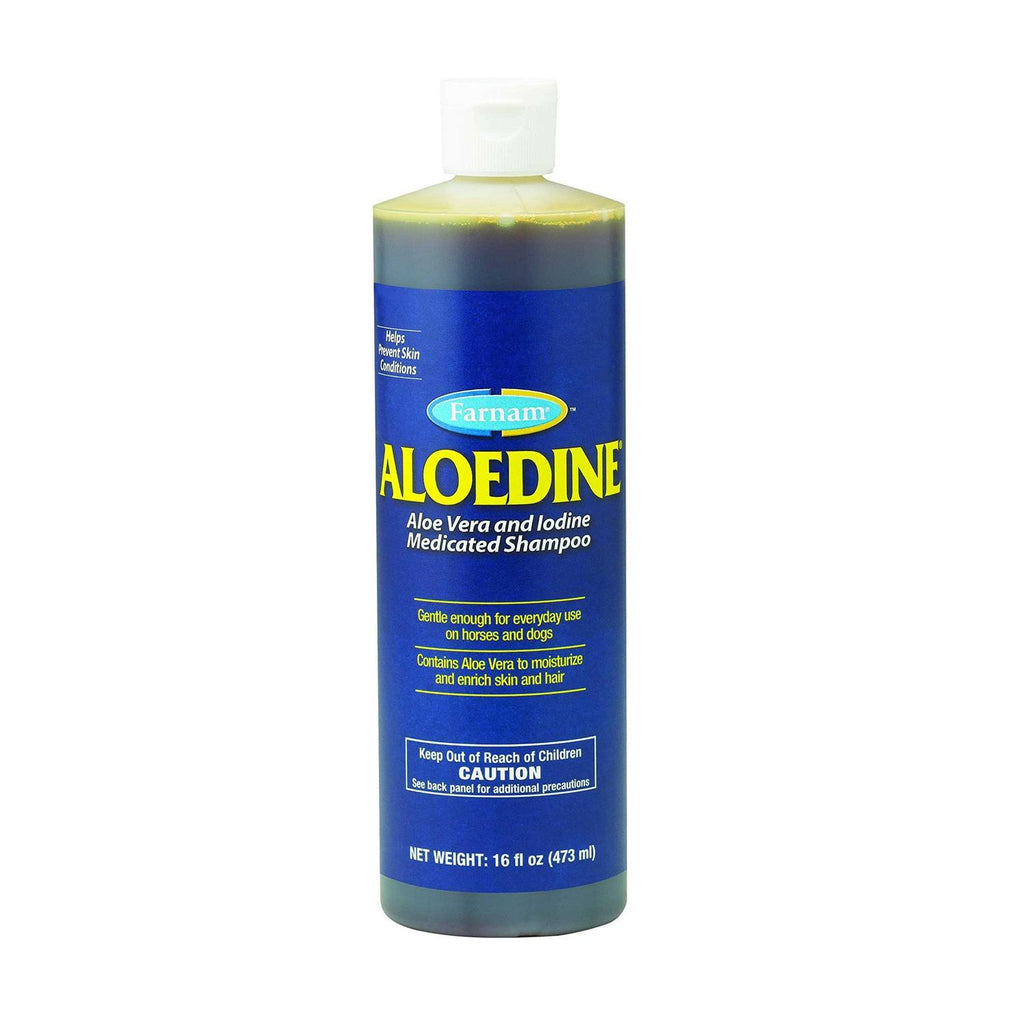 Medicated Shampoo U695704