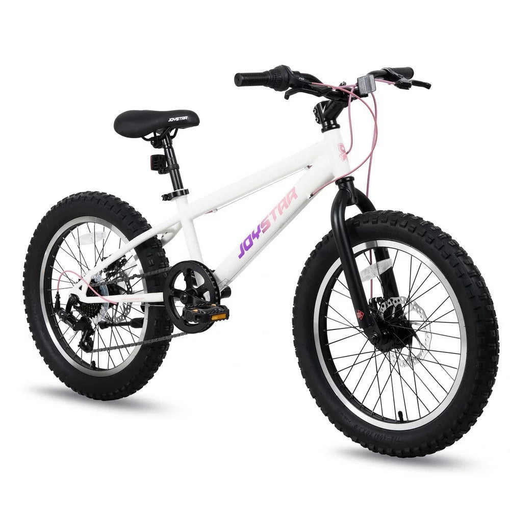 20 Inch 7 Speed Disc Brakes Fat Tire Kids Mountain Bike T48386