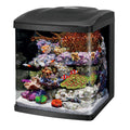 16 Gallon Aquarium Fish Tank Kit K692318