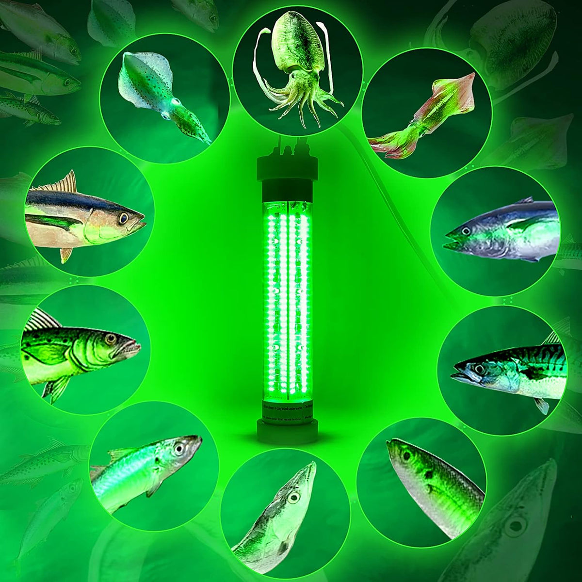 Underwater Fishing Light, DC12V/24V 300W, with Remote Brightness Adjustment P942054
