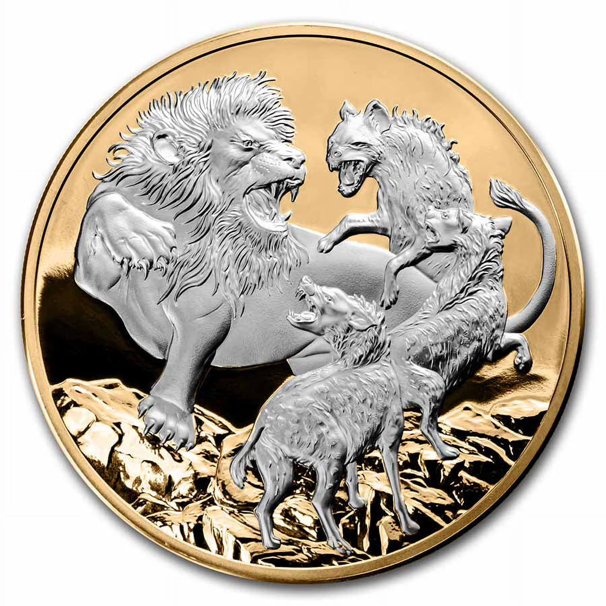 5 oz Silver Proof Coin S9065