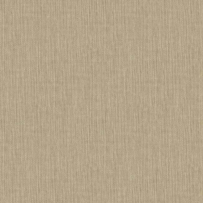 Light Brown Wallpaper R804