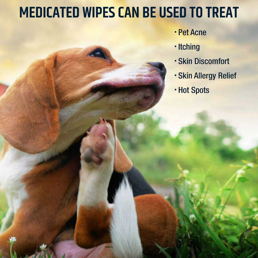 Chlorhexidine Dog & Cat Wipes S234