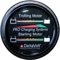 Trolling and Cranking Battery Fuel Gauge F9666