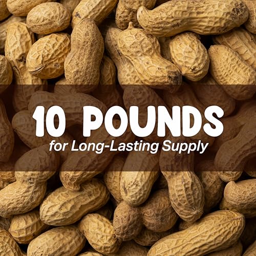 Roasted Unsalted Peanuts in Shell 10LB B931395