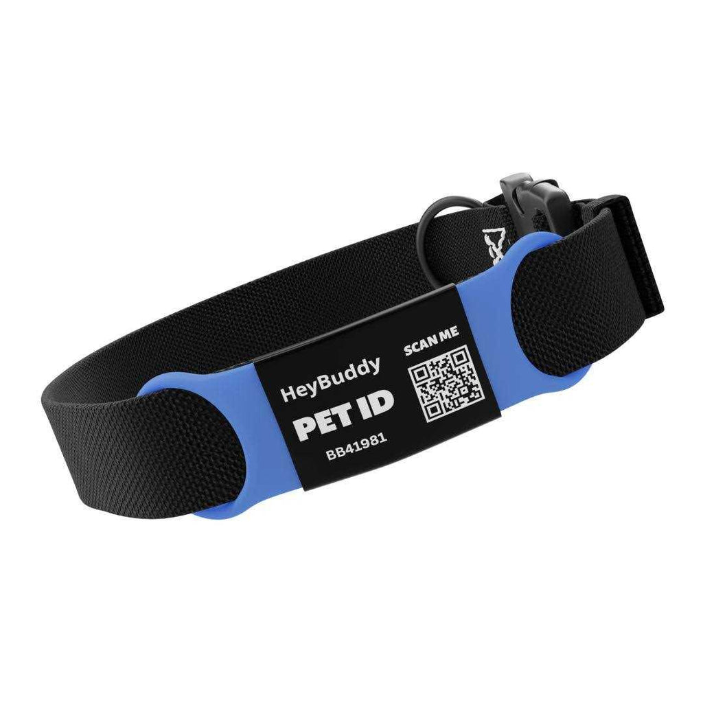 Noiseless QR Code Pet Tag I4682