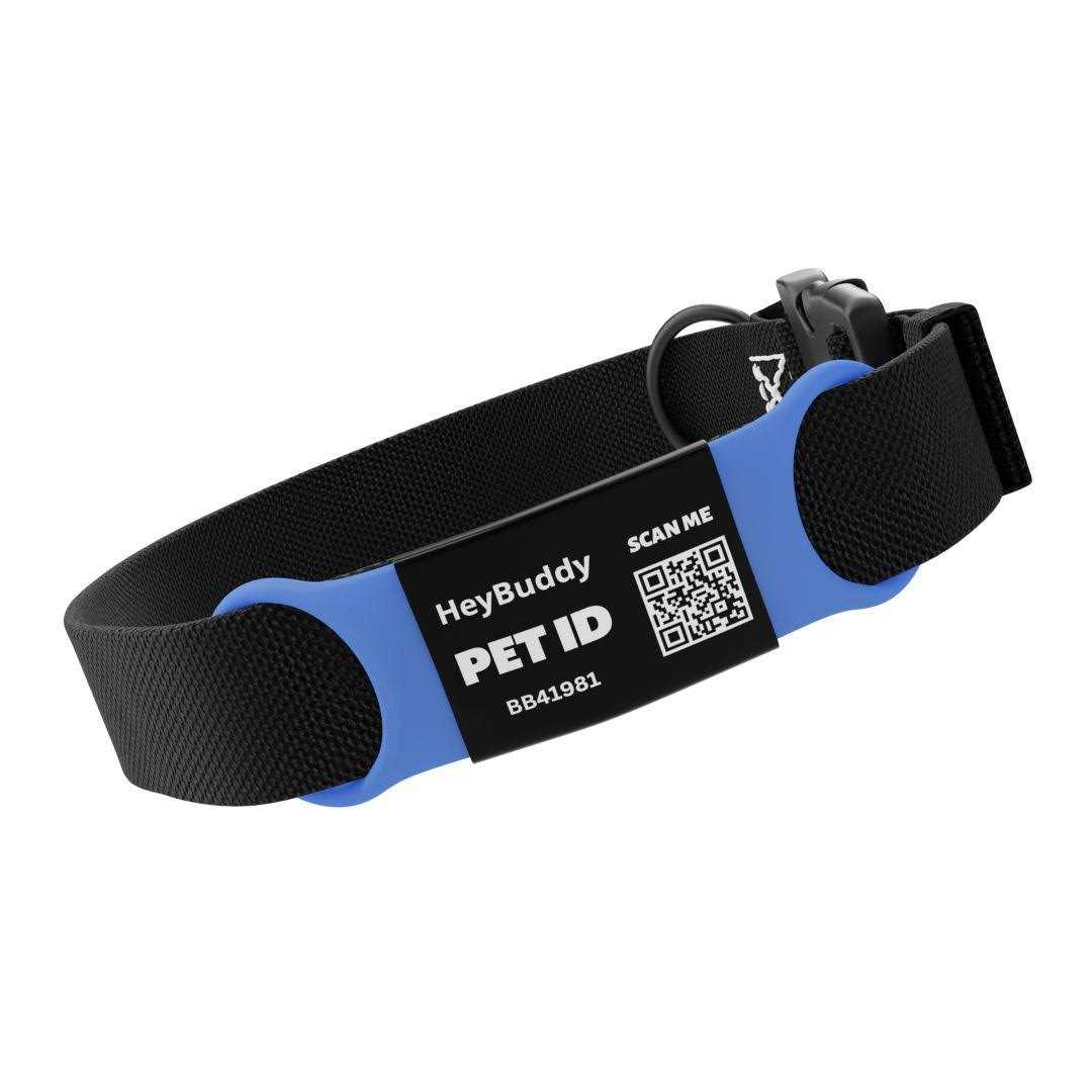 Noiseless QR Code Pet Tag I4682