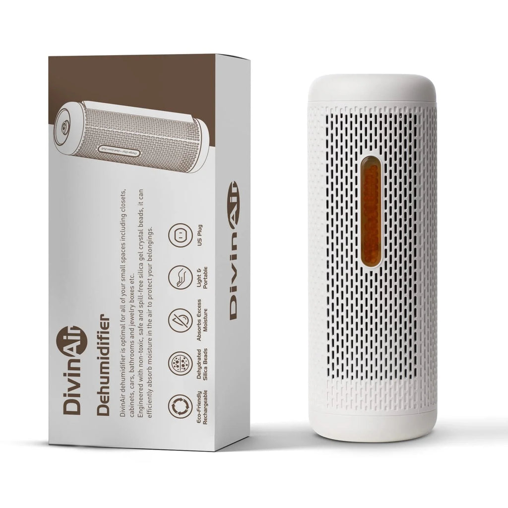 Dehumidifier for Bedroom Home Closet Office P1132