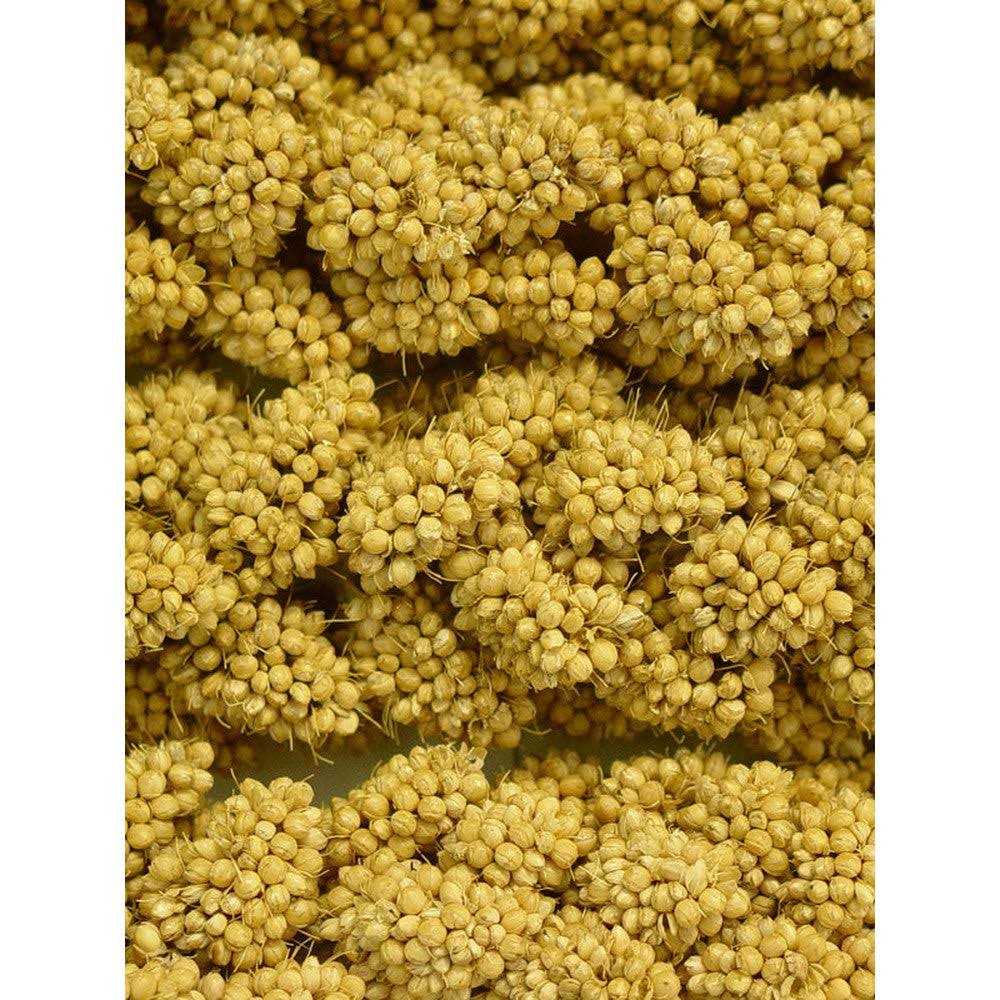 Spray Millet I75491