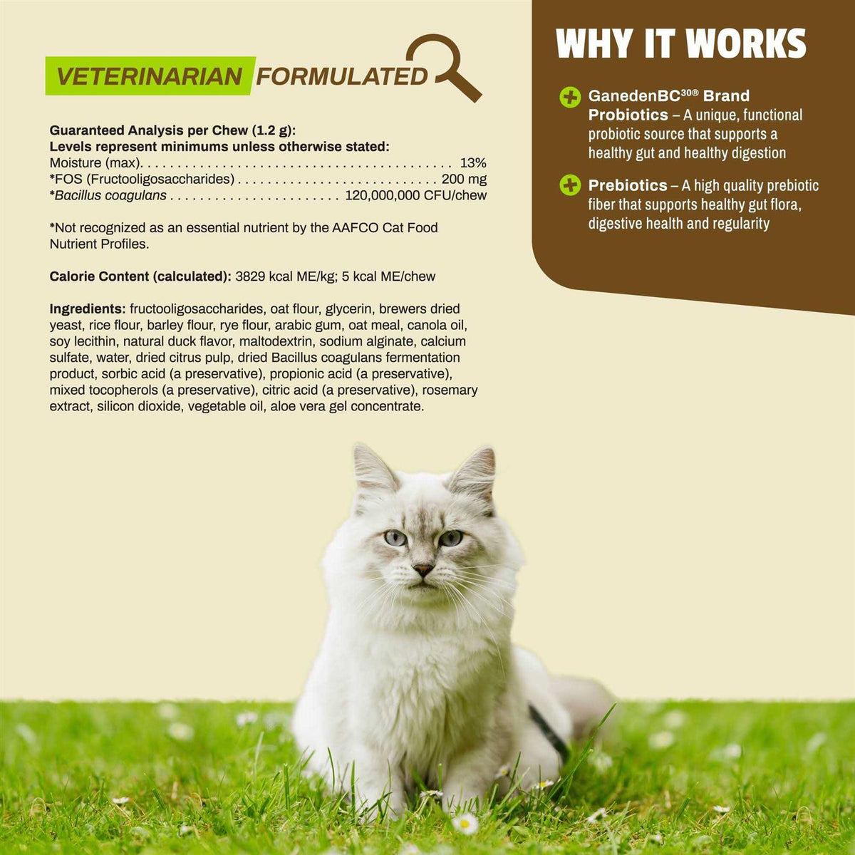 Daily Probiotic for Cats C560