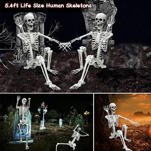5.4Ft Posable Life Size Human Skeleton with Movable Joints U288951