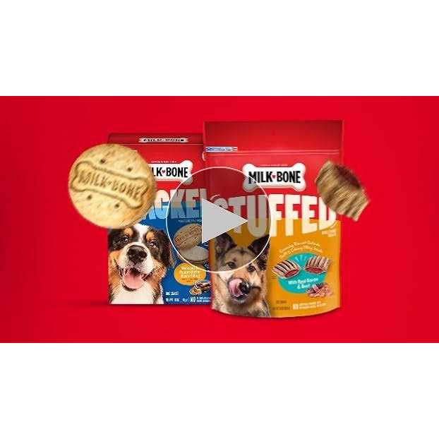 Dog Treats Z234216