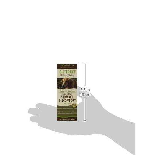 Dog Gi Tract Formula A939529