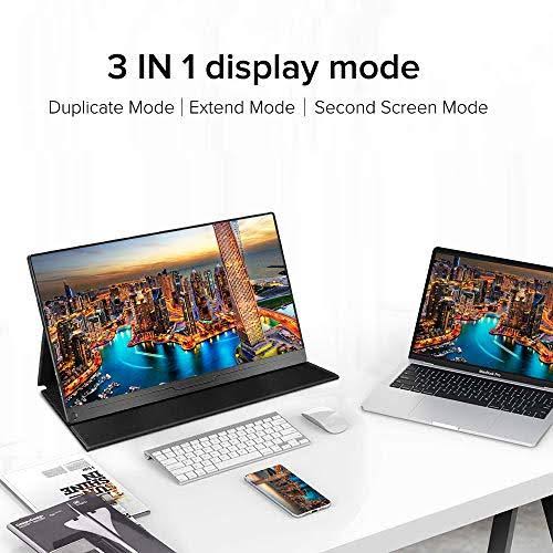 17.3 inch IPS HDR USB C Gaming Monitor N76415