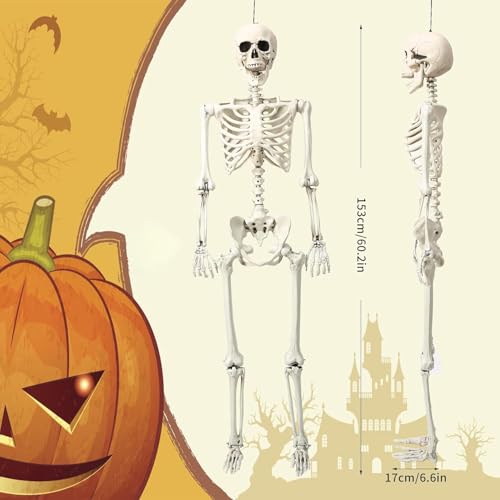 5.4 ft Posable Halloween Skeleton with Movable Joints X2464
