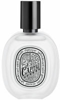 Hair Mist 1 oz. V658884