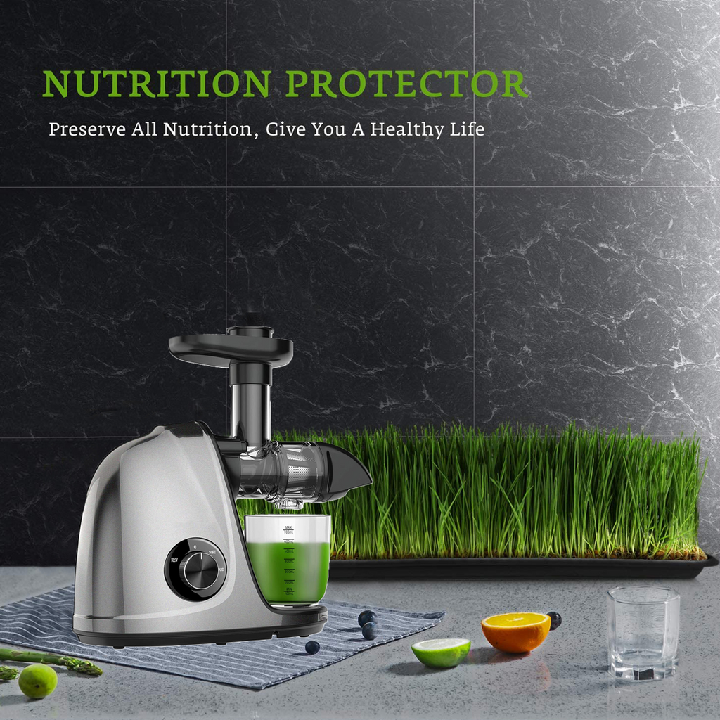 Cold Press Slow Juicer with 2-Speed Modes (Grey) R38363