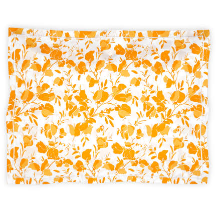 King Sham Goldenrod I486439