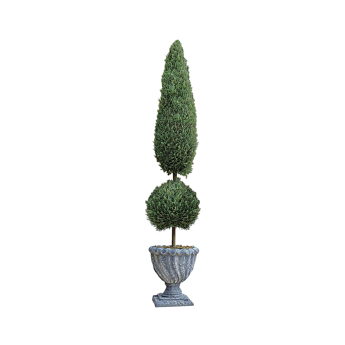 Topiary Tree Collection W481197