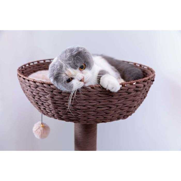 Pharaoh and Brown Cat Tree A18811