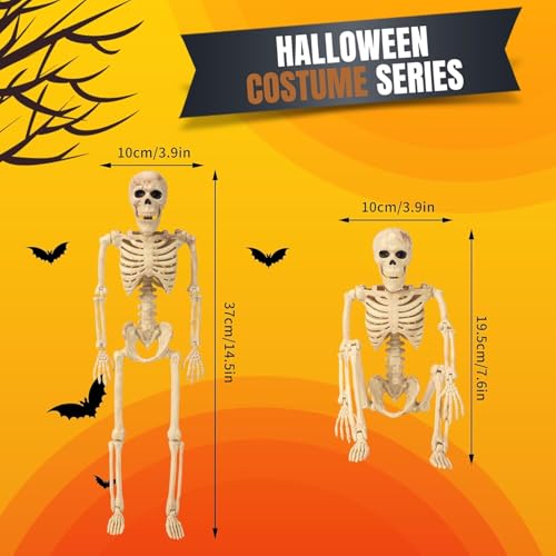 5.4 ft Posable Halloween Skeleton with Movable Joints X2464