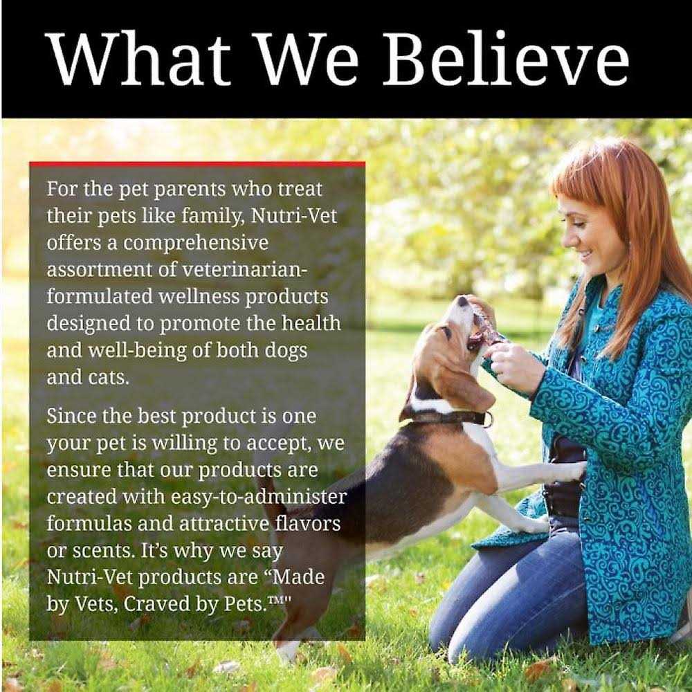 Pumpkin Dog Supplement U58002