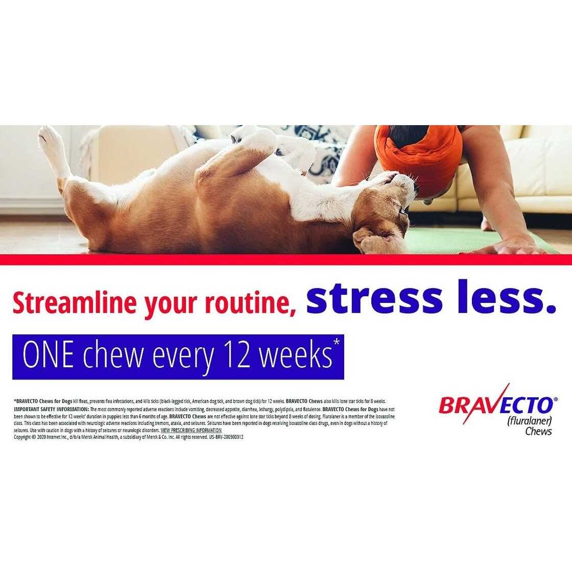 Chews for Dogs F195