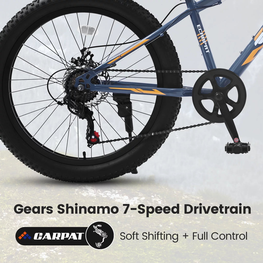 24 inch Fat Tire Bike with 7-Speed and Dual-Disc Brakes W7635