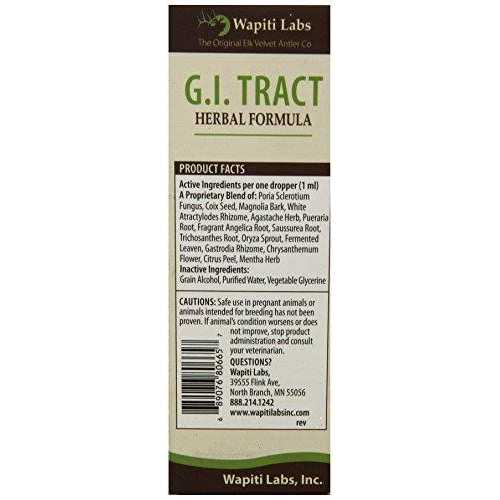 Dog Gi Tract Formula A939529