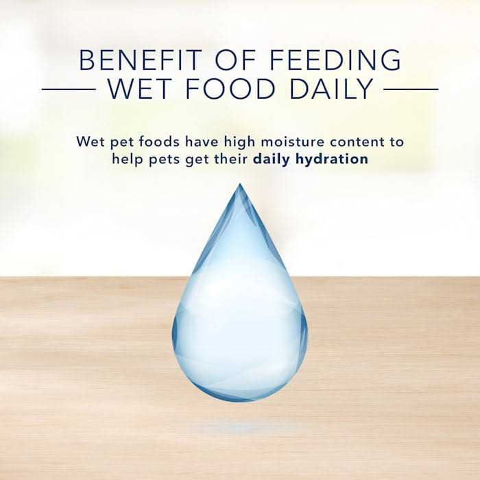 Adult Wet Cat Food L208
