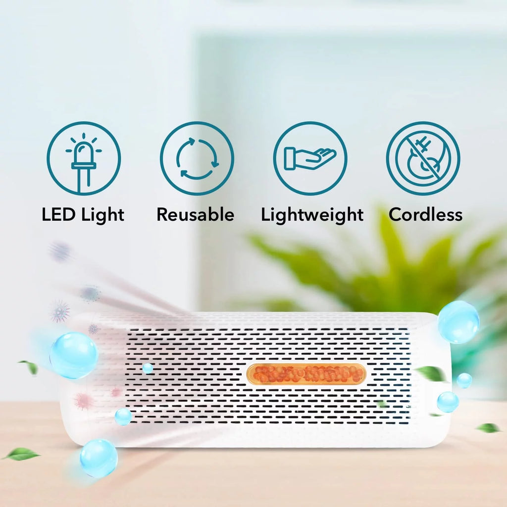Dehumidifier for Bedroom Home Closet Office P1132