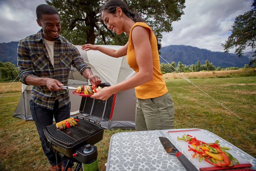 Portable 1-Burner Propane Grill Q1932