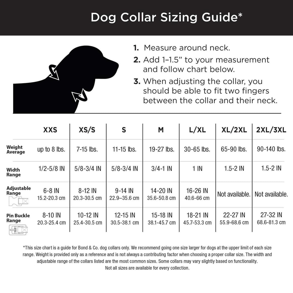 Dog Collar A254