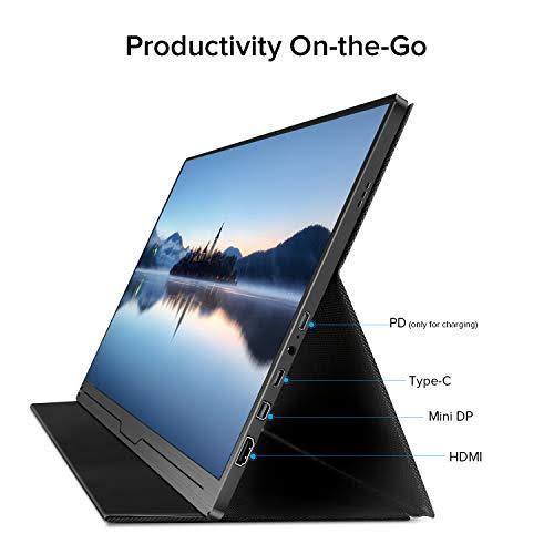 17.3 inch IPS HDR USB C Gaming Monitor N76415