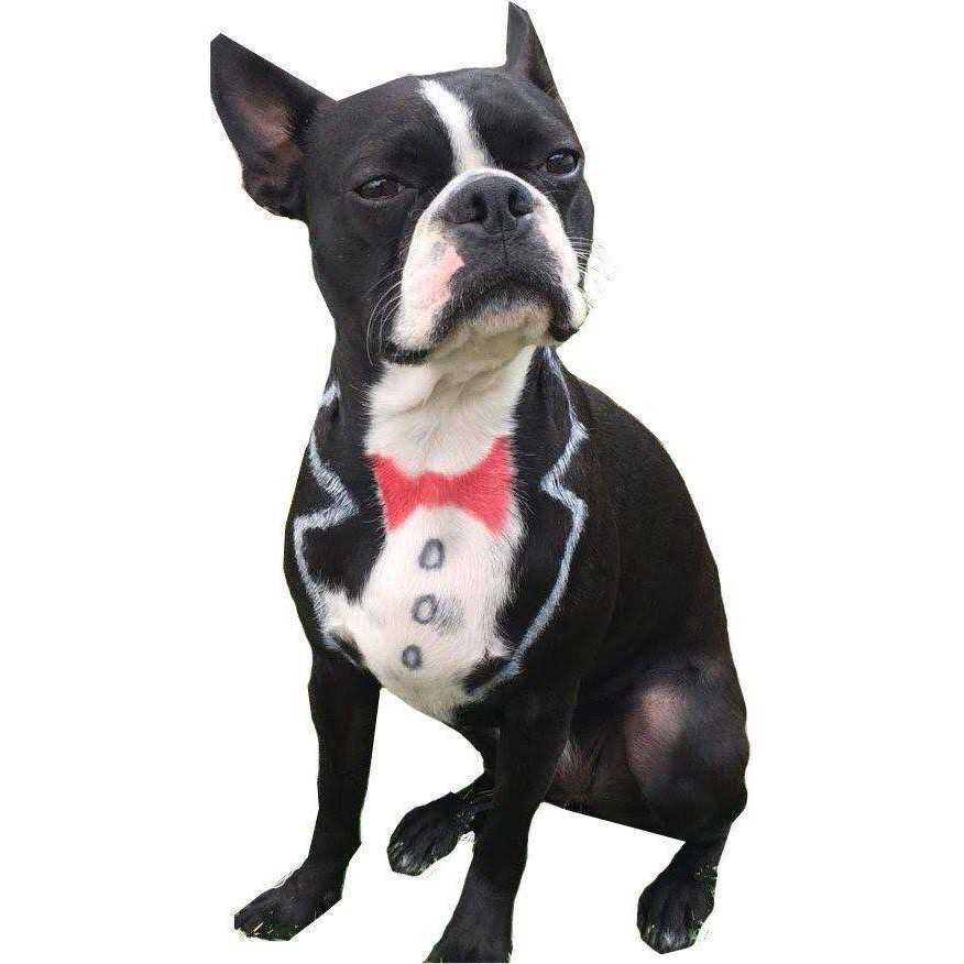 Pet Supplies I812