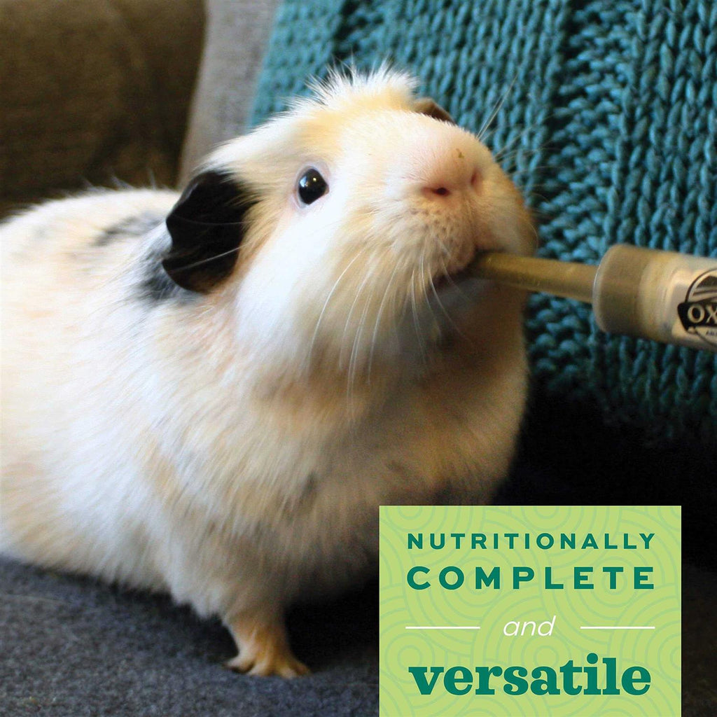 Apple-Banana Herbivore Pet Supplies W5786