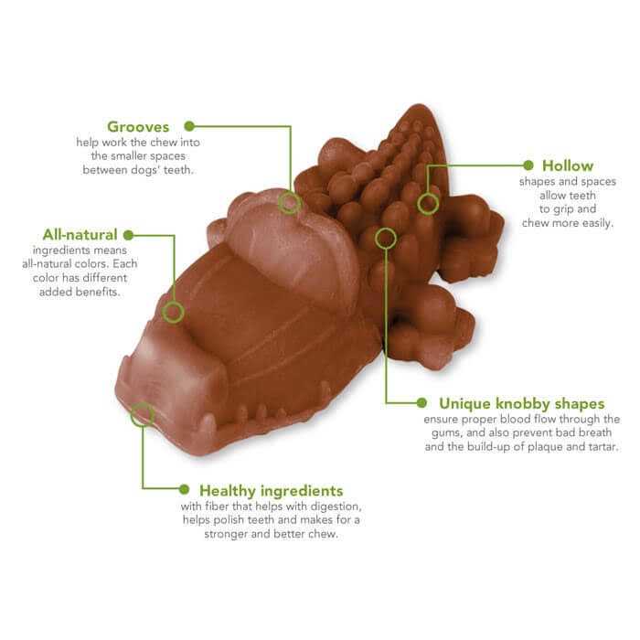 Alligator Dental Dog Treats R17027