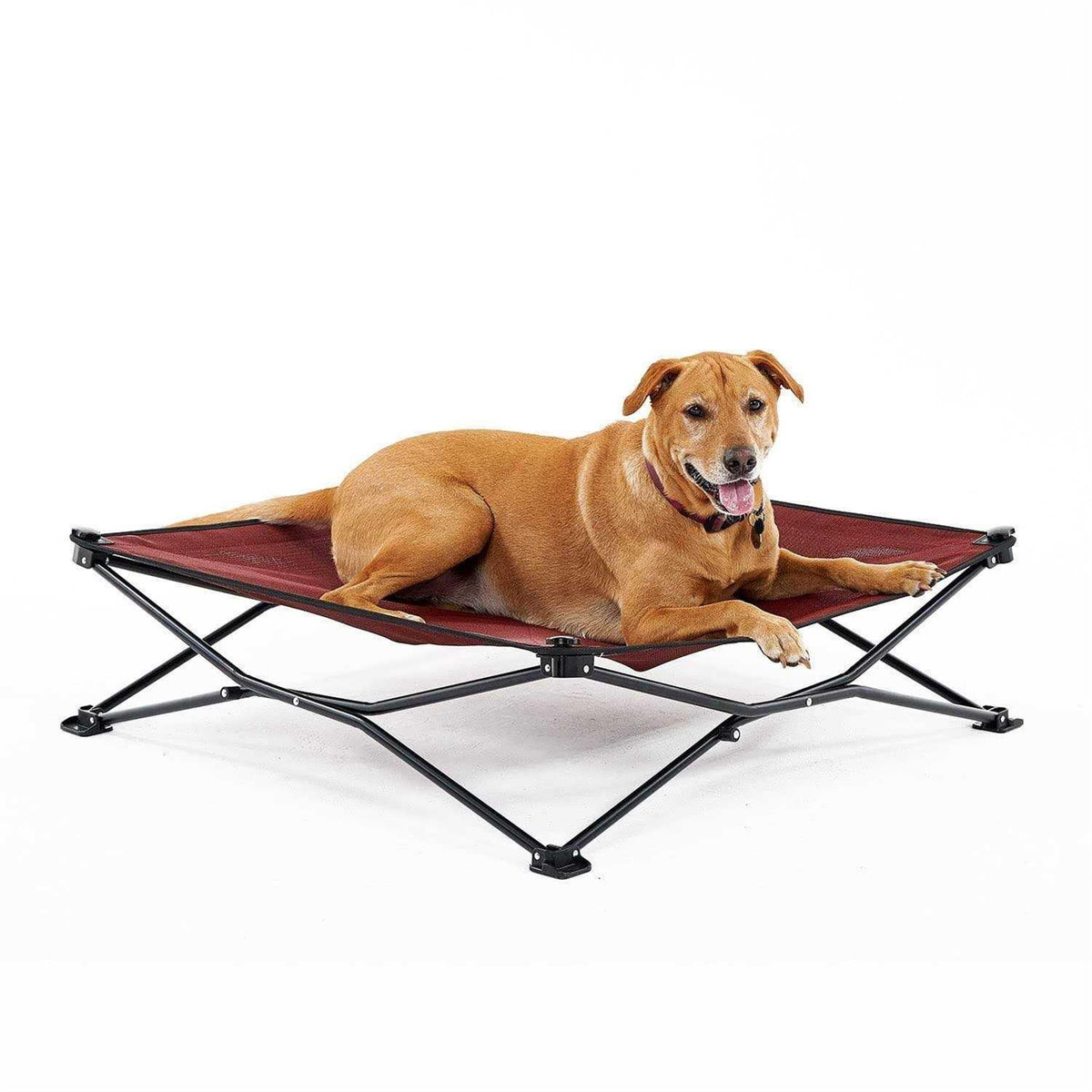 Elevated Pet Bed R954717