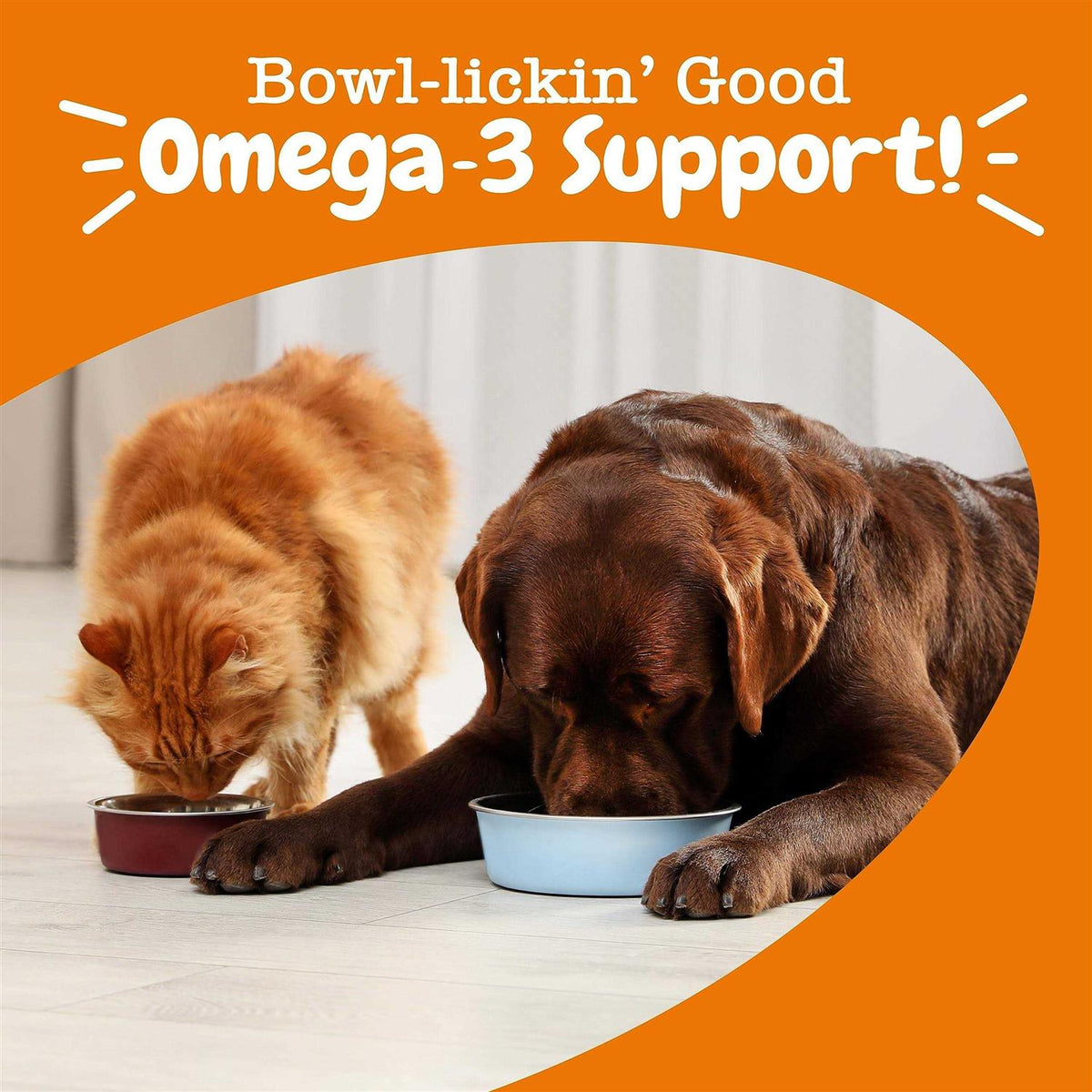 Fish Oil for Dogs & Cats L64859