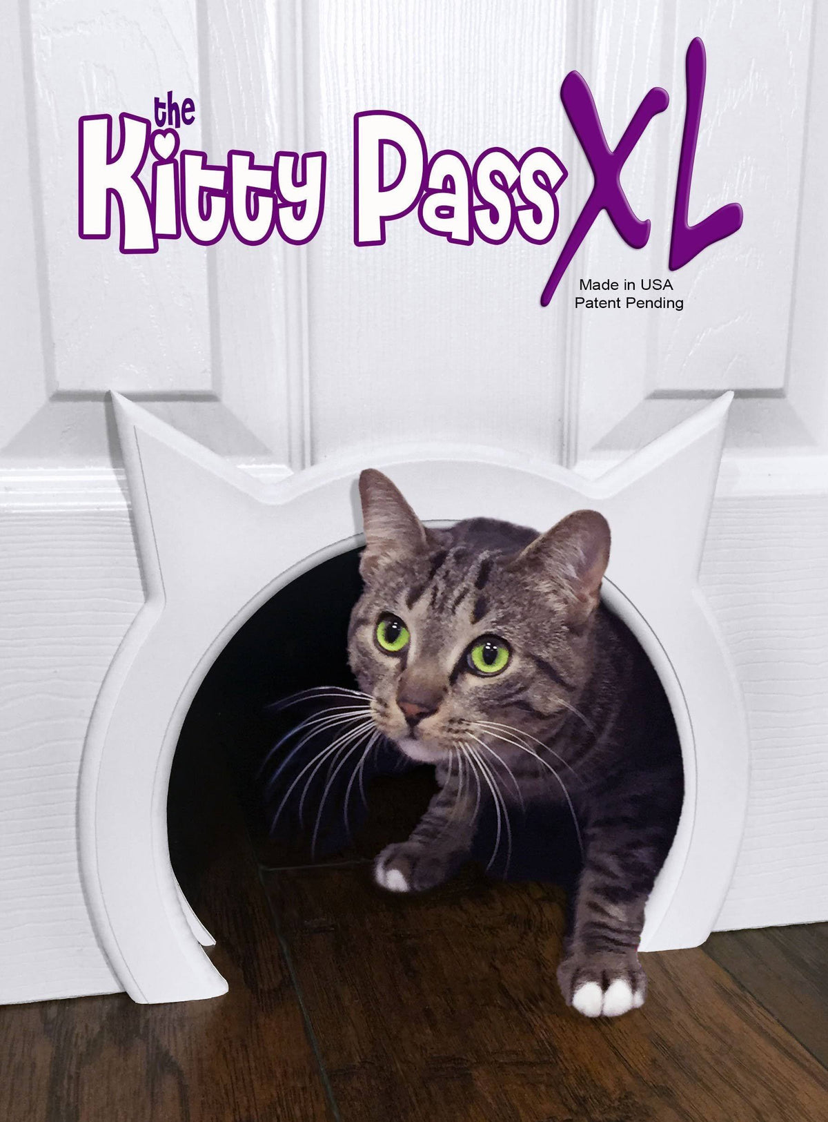 Large Cat Door with Hidden Litter Box D2229