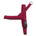 Padded Dog Y Harness C554507