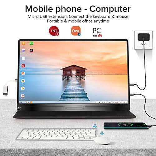 17.3 inch IPS HDR USB C Gaming Monitor N76415