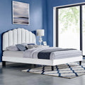 Velvet King Platform Bed V35943